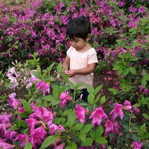 Meet your Posher, Maria